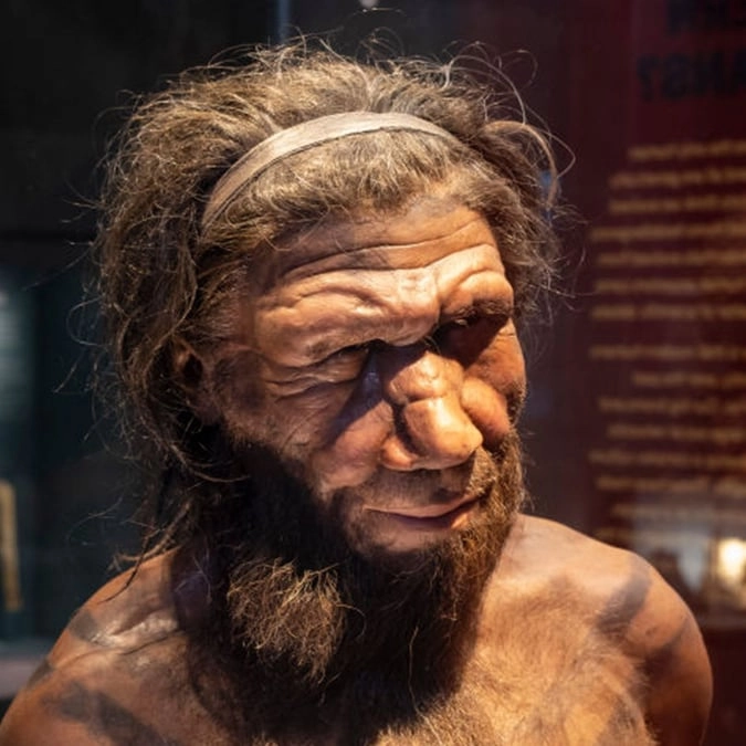 Scientists reveal shocking reason Neanderthals never truly went extinct in new study