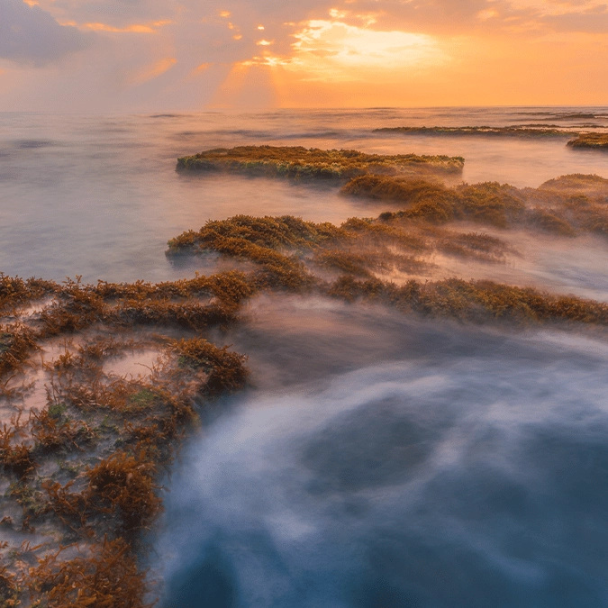 The one sea on Earth that touches no land is hiding in the Atlantic Ocean