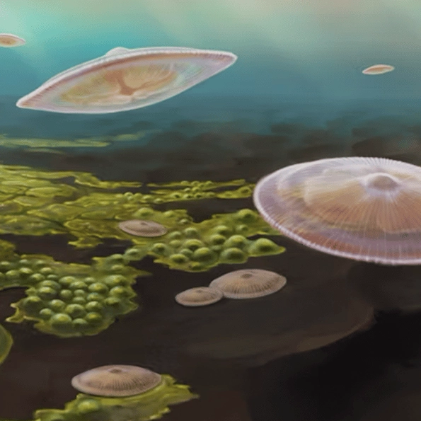 New evidence suggests complex life could have begun 1,500,000,000 years before we originally thought