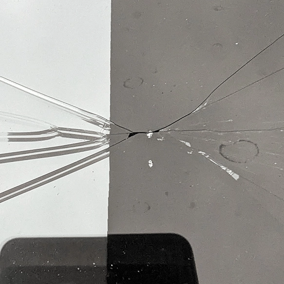 Cybertruck owner shares full cost of fixing crack in roof glass and people can't believe the price