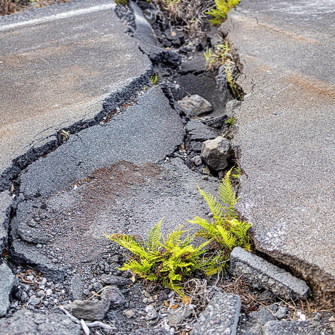 Scientists issue warning of 'The Big One' predicted to be one of the most extreme earthquakes in history