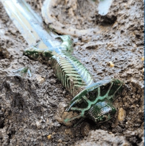 How archaeologists found 3,000-year-old sword preserved so perfectly it ‘almost still shines’