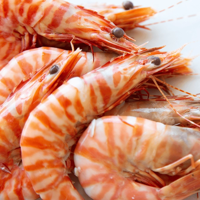 Research discovers cocaine in every single shrimp tested in nation's waters in disturbing study
