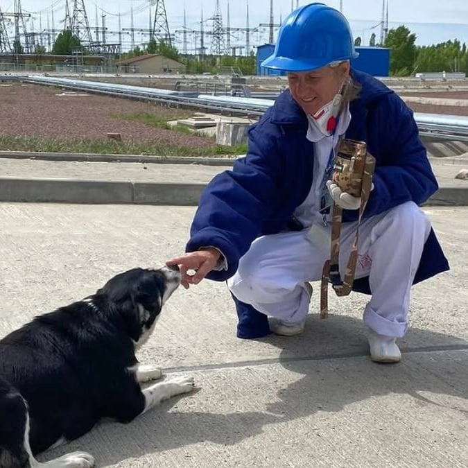 Shock as dogs at site of Chernobyl disaster site turn bright blue