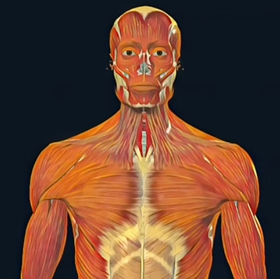 Gruesome simulation that shows what happens to a person's body when a submarine implodes described as 'comforting'