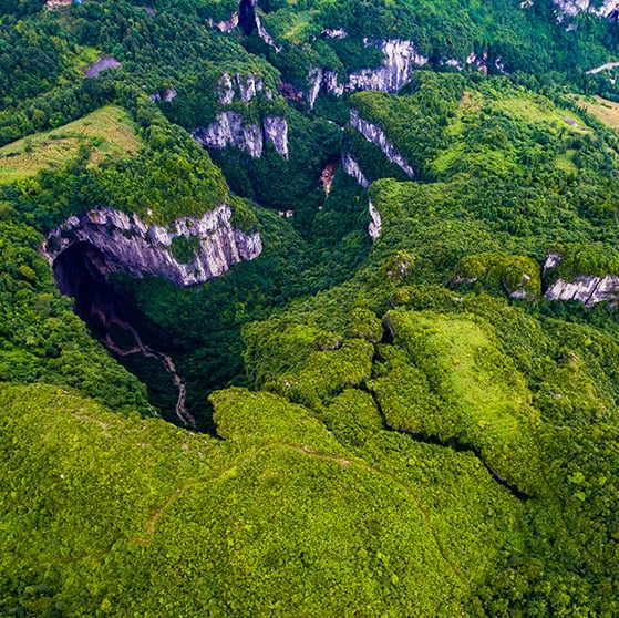 How a giant sinkhole over 630 feet deep was discovered containing untouched ancient forests