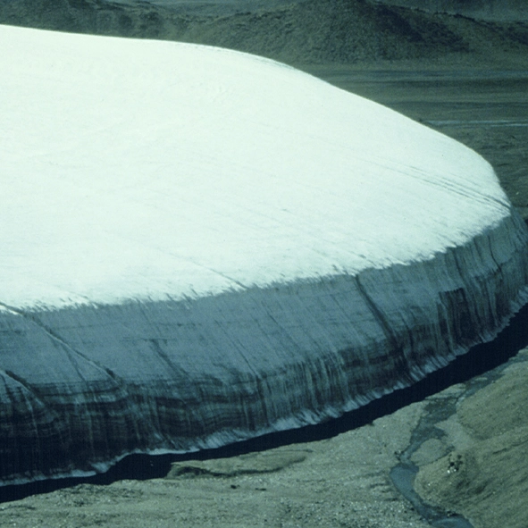 Over 1,700 ancient viruses found lurking deep inside glacier in never seen before discovery