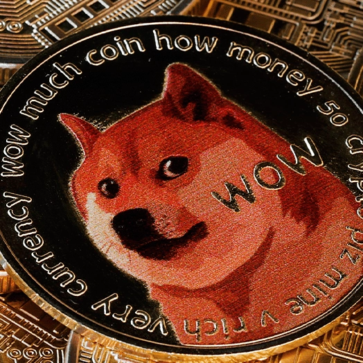 Dogecoin surges 106% since Trump win as Elon Musk continues to warn of 'financial emergency'
