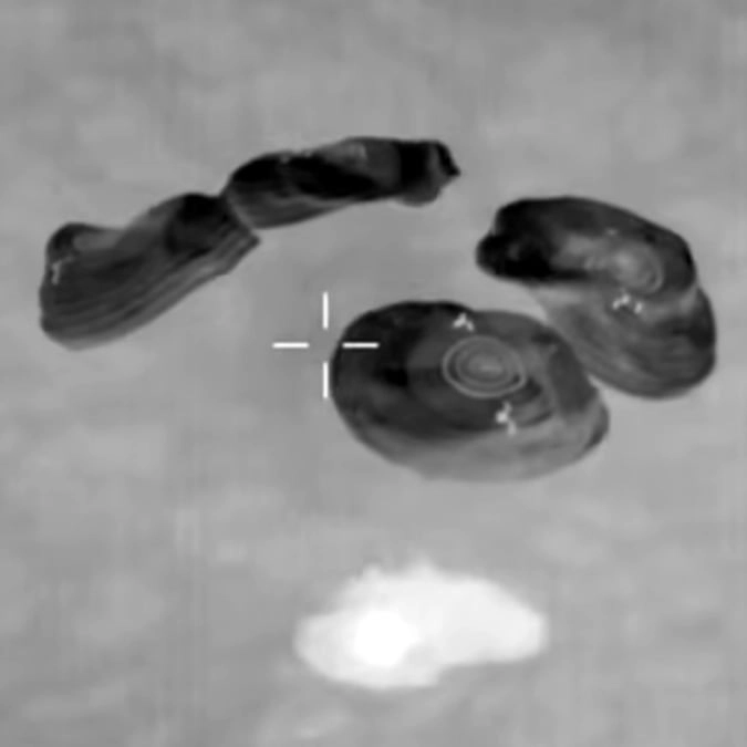 NASA speak out as astronauts splashdown following world's first medical evacuation