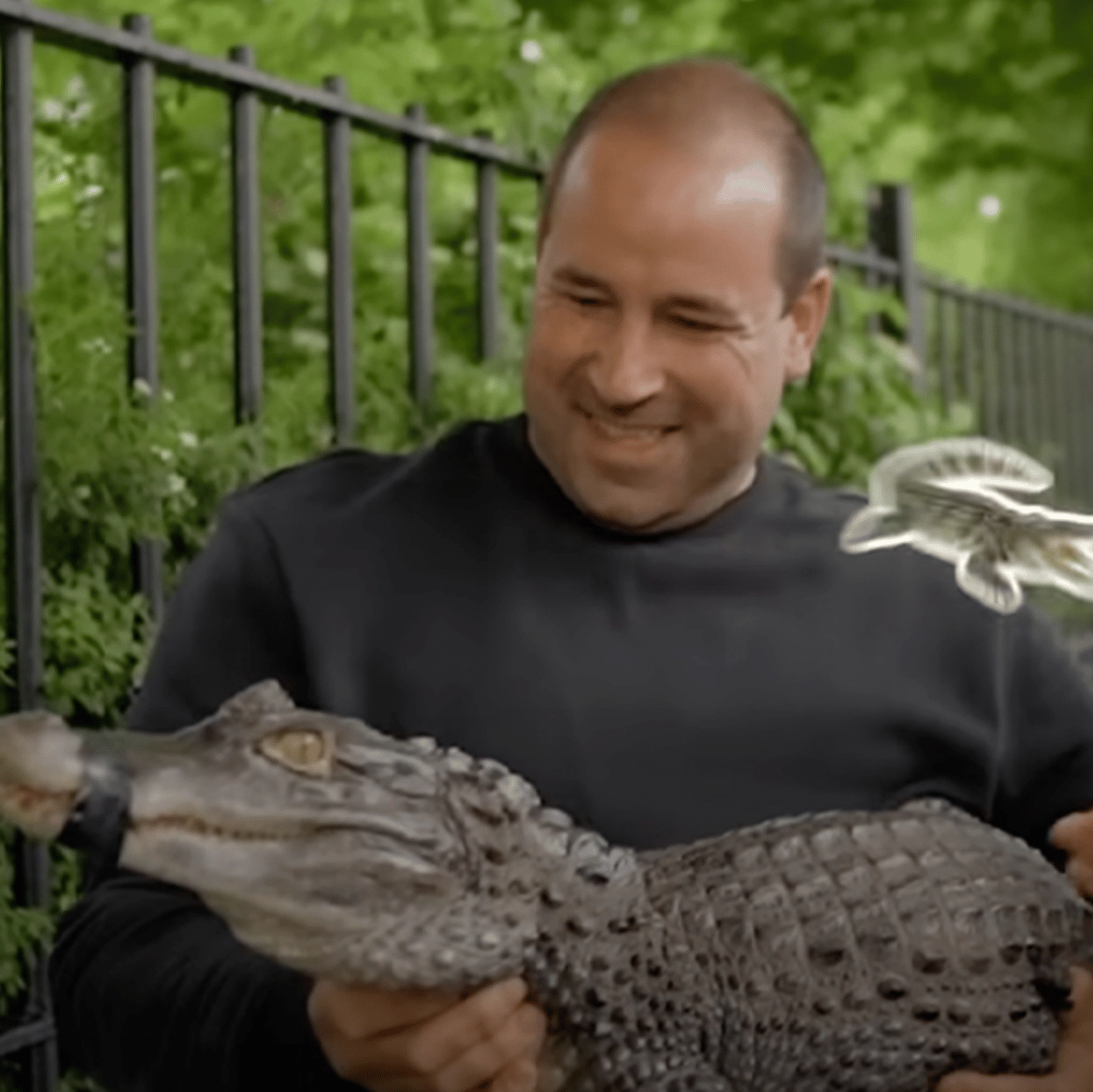 Man tests ‘pet friendly’ Ubers with exotic animals that get increasingly more and more bizarre