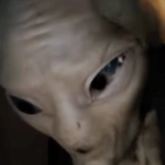 Crazy YouTube video shows what would happen if one million people actually stormed Area 51