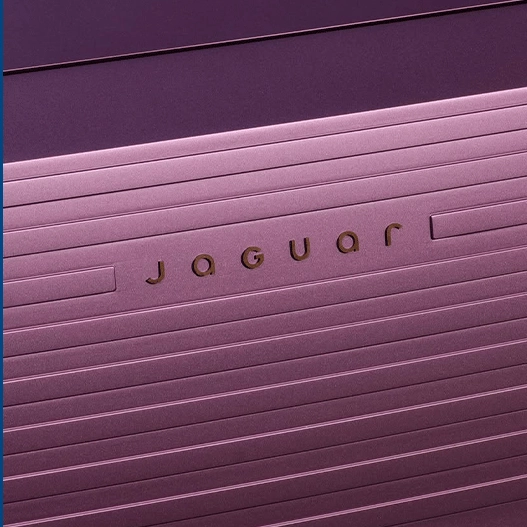 Jaguar boss defends controversial new car following backlash from public including Elon Musk