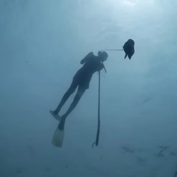 Genetically mutated tribe are the first known humans to adapt to being underwater