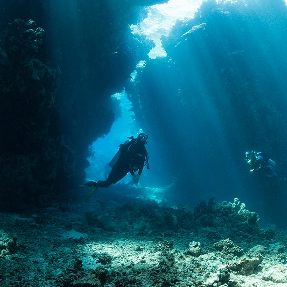After finally reaching the bottom of the Red Sea scientists made a chilling discovery