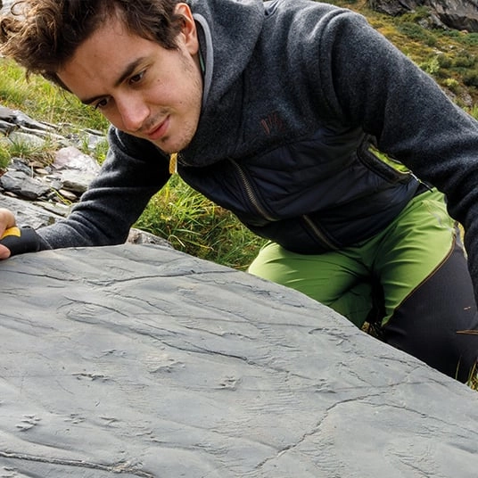Woman accidentally discovers 280,000,000-year-old lost world while out on a hike