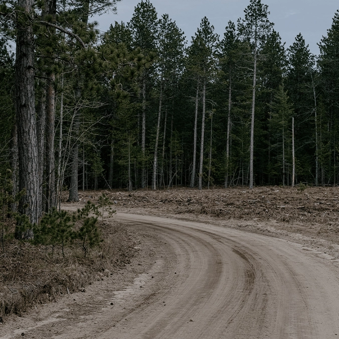 Woman from YouTube survival show found after going missing in Michigan forest for 18 hours