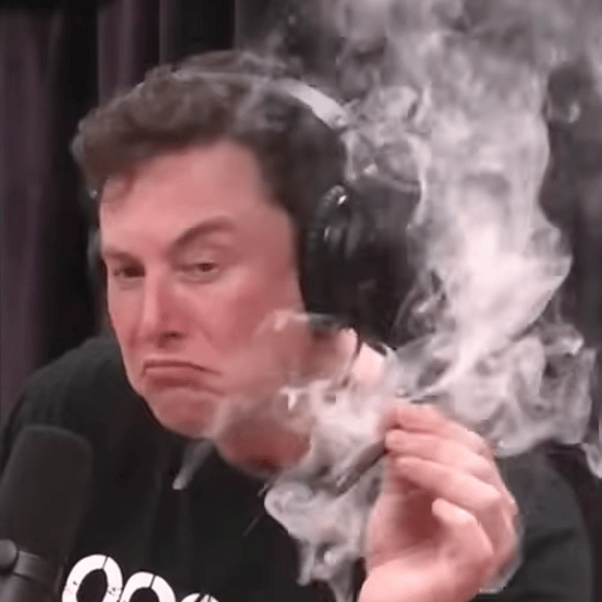 Furious Trump supporter shouts at CNN reporter after being asked about Elon Musk 'smoking pot'
