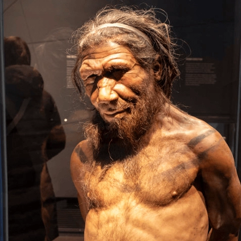 Scientists discover new human species with extremely unusual feature