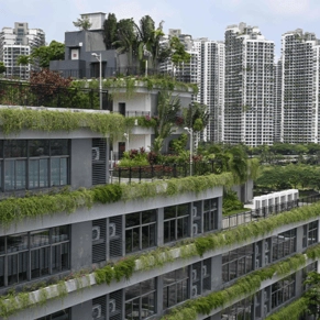 Eco-friendly mega-city that cost $100 billion has been left a ghost town for years