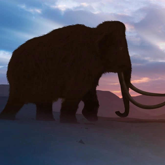 Biotech boss working to bring back woolly mammoth and dodo hits back at Jurassic Park comparisons