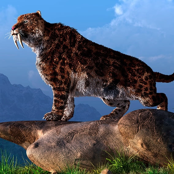 Scientists amazed after discovering saber-toothed cub almost perfectly preserved 32,000 years later