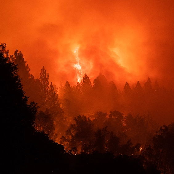 Scientists warn world is on brink of ‘irreversible climate disaster’ and is moving in wrong direction