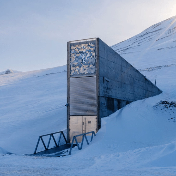 Earth's 'Doomsday Vault' created to save life in apocalyptic event quietly updated by scientists