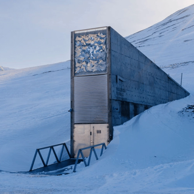 'Doomsday vault' receives brand new delivery that will be preserved for eternity in case Earth is wiped out'