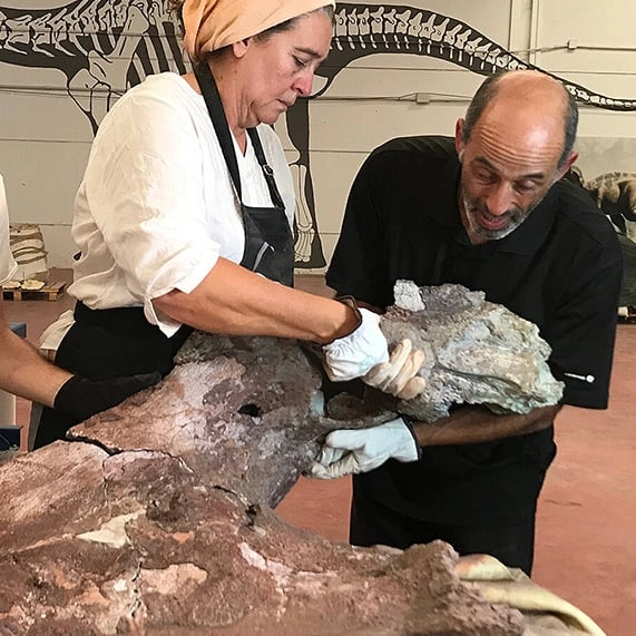 New species of titanosaur that lived 75,000,000 years ago has been unearthed in huge finding