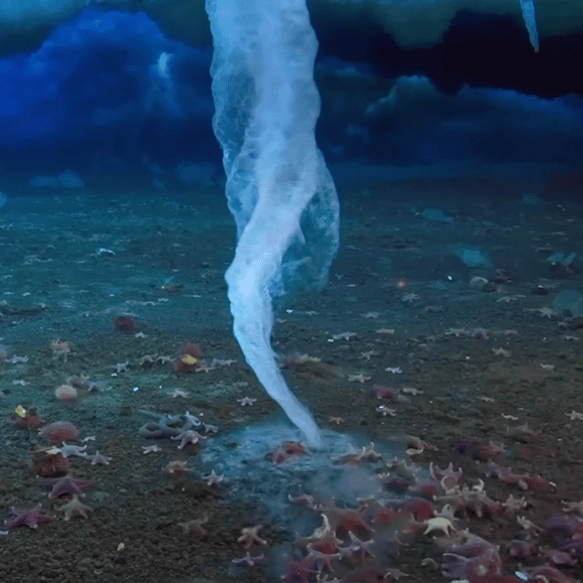 Sinister footage of rare ‘ice finger of death’ that kills everything it touches leaves viewers horrified