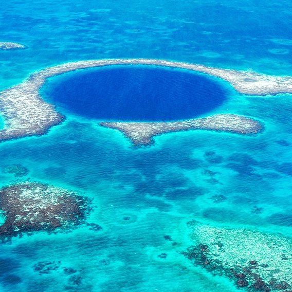 Divers make shocking discovery at the bottom of the mysterious Great Blue Hole