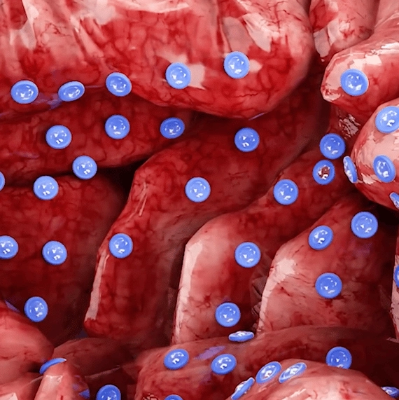 People terrified at video showing what happens to your body when you drink too much water