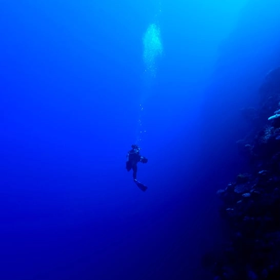Man drops 65 feet into ocean depths to prove terrifying theory about the sea