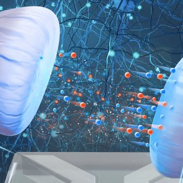 Scientists create first 'brain' like computer using water and salt
