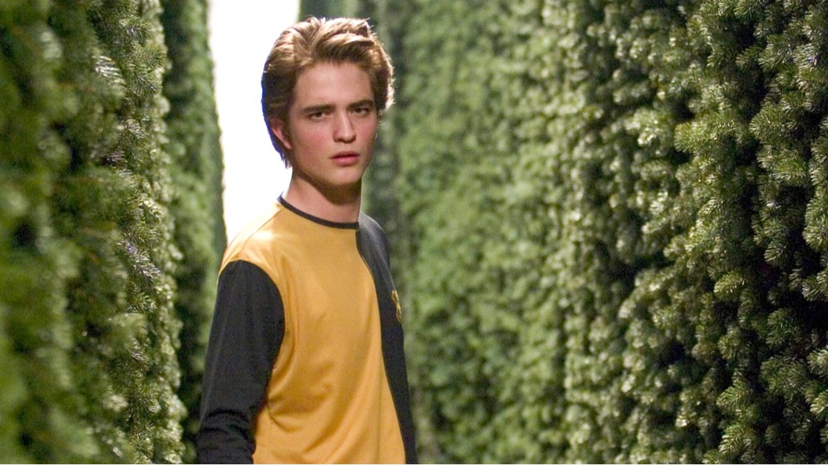 Harry Potter fans just realising only 1 House never produced any dark wizards