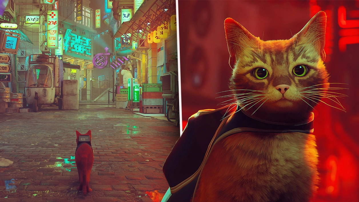 'Stray' Already Has A Staggering Number Of Players On Steam