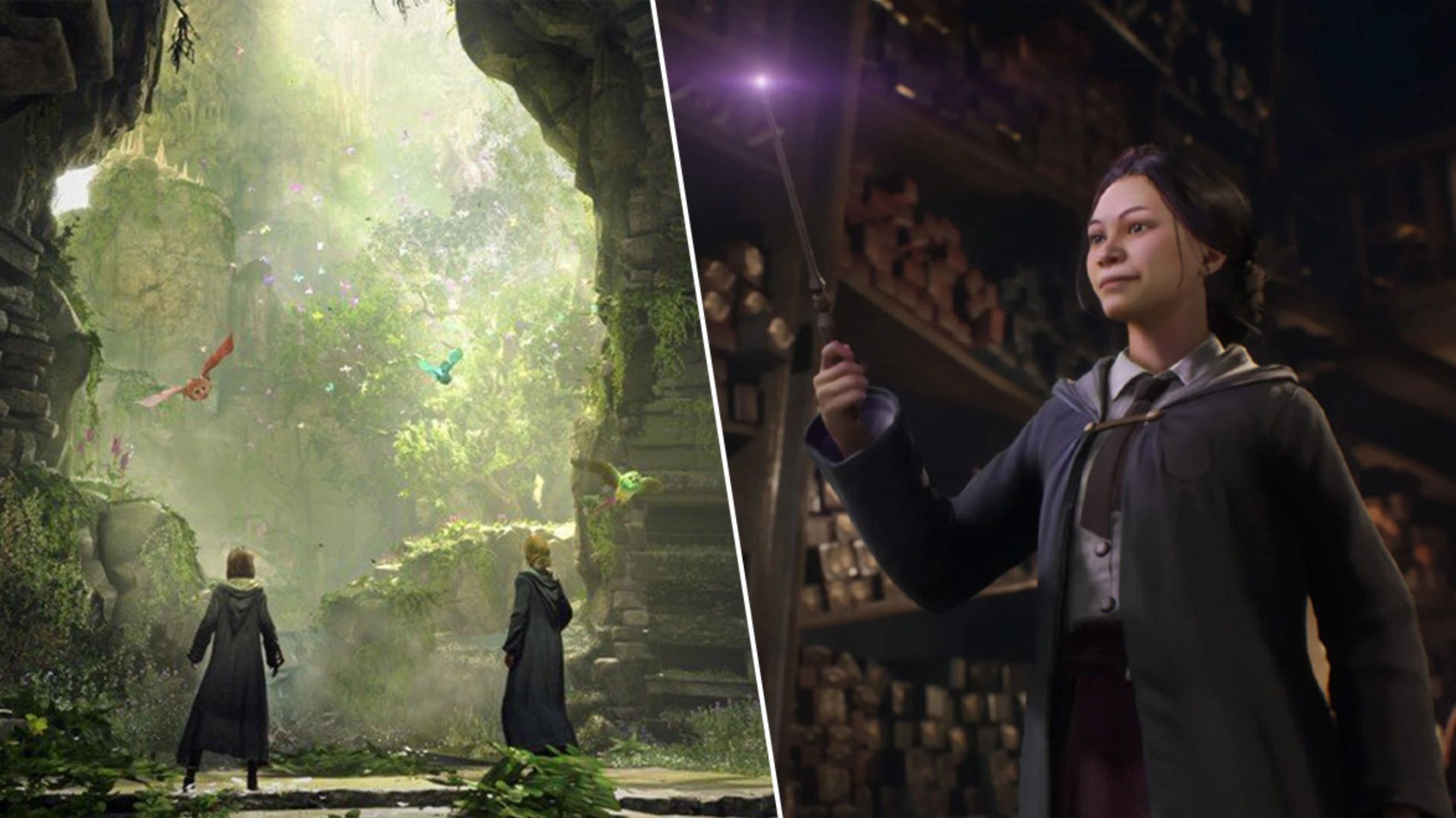 'Hogwarts Legacy' Discovery Hints At Exploration Of Iconic Dangerous Area