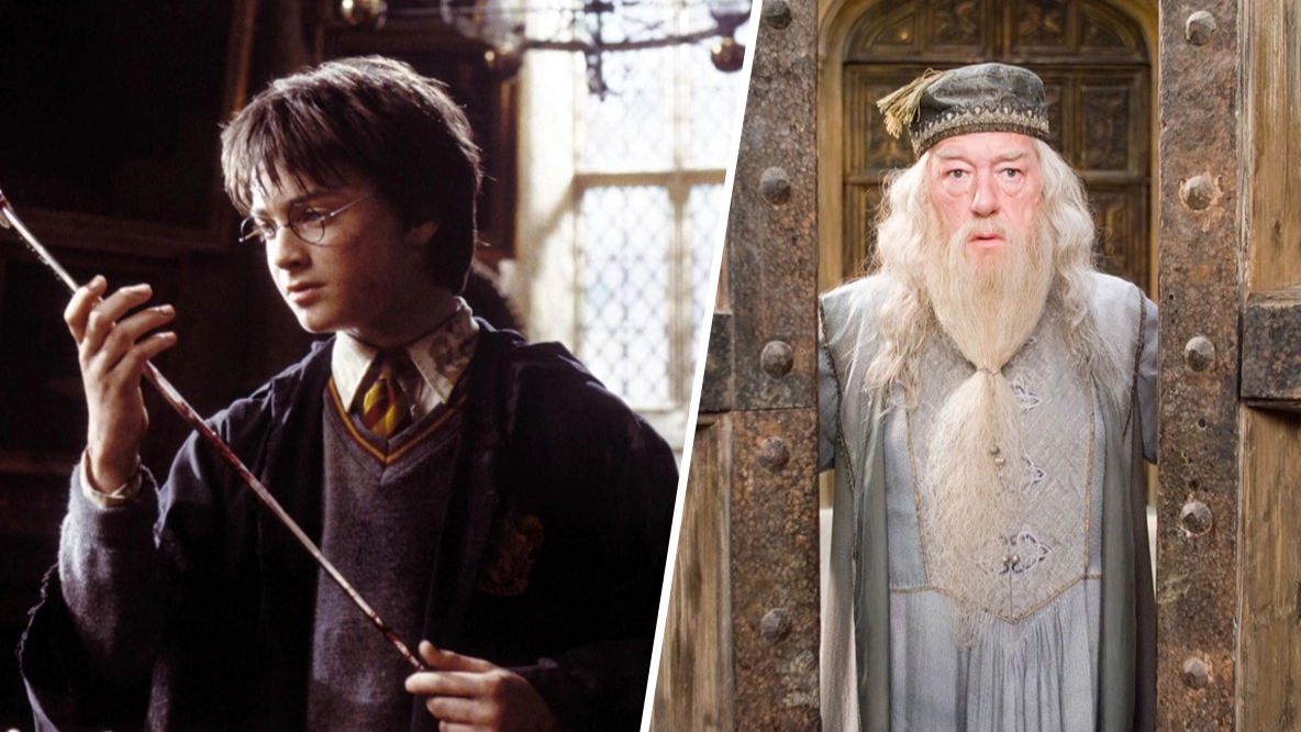 Harry Potter HBO series has found its Dumbledore