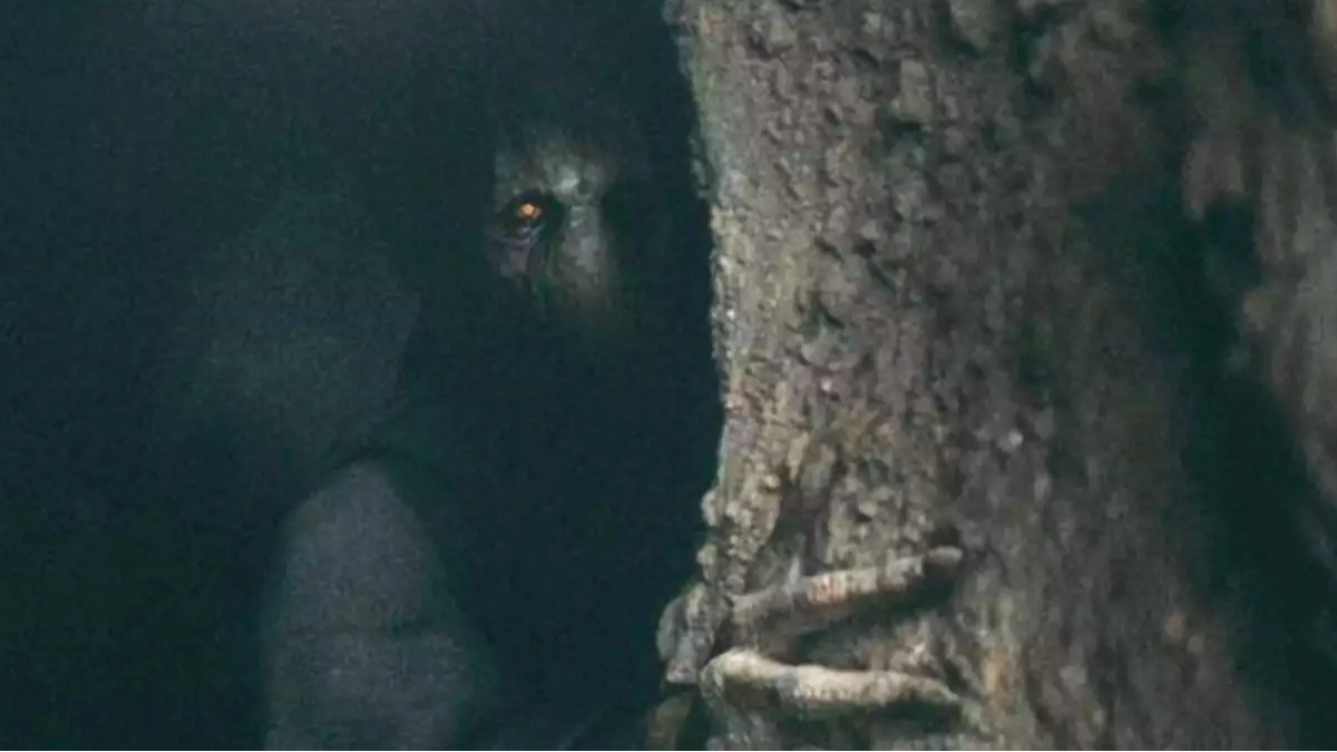 Star Wars fans furious over Darth Plagueis’ twist, and we get it