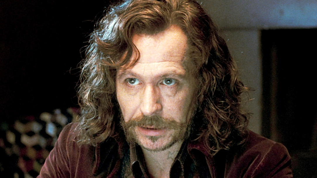 Harry Potter fans just realising 2 major characters were related