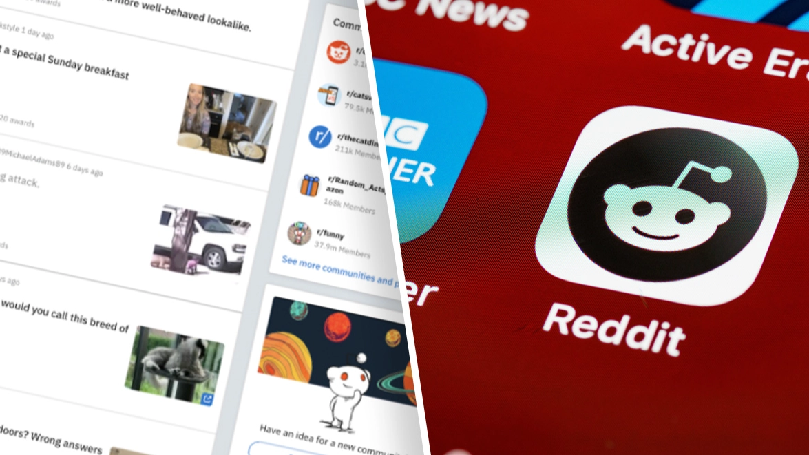 Reddit users begin subreddit blackout in protest against major site changes