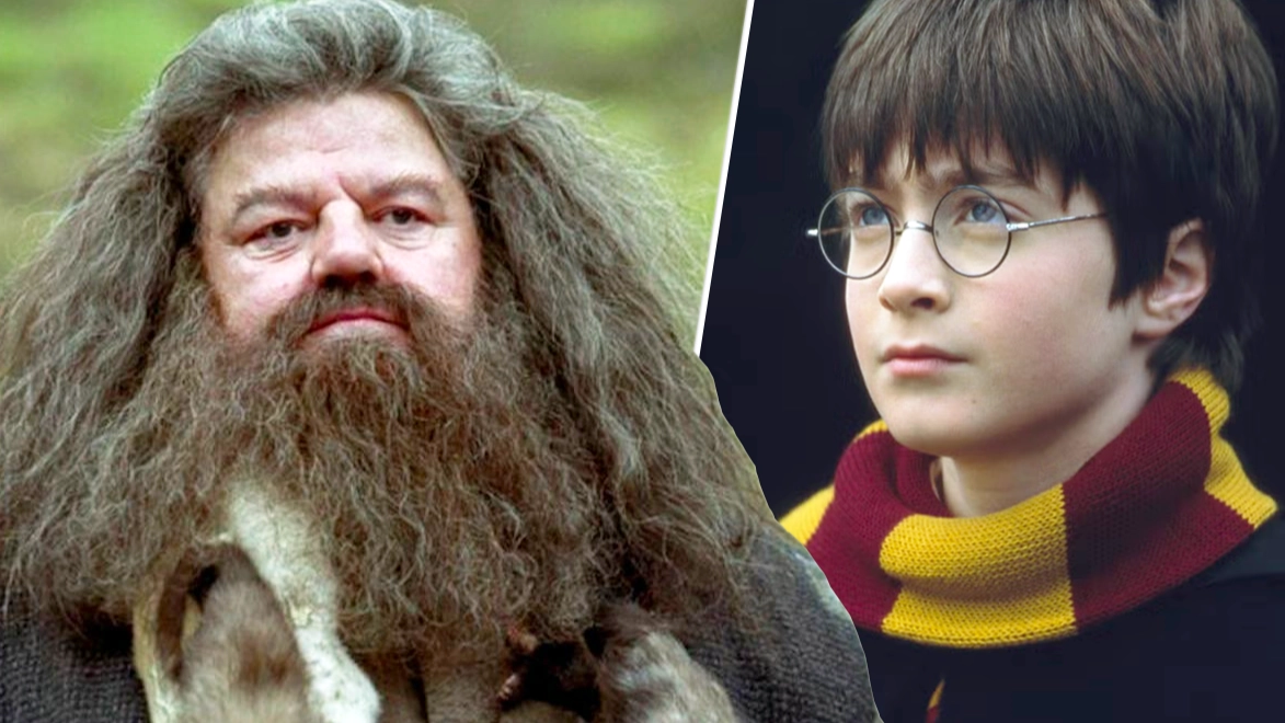 Harry Potter fans seriously divided over new Hagrid casting: 'I don't see it'