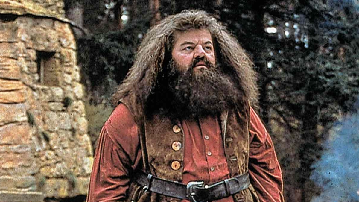 Harry Potter HBO reboot gives first look at our new Hagrid