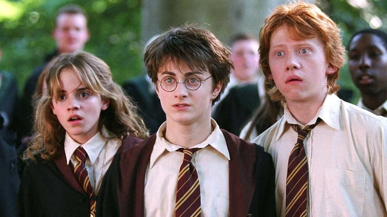 Netflix has Harry Potter TV Series Decision to Make, Hogwarts Legacy 2 Headache
