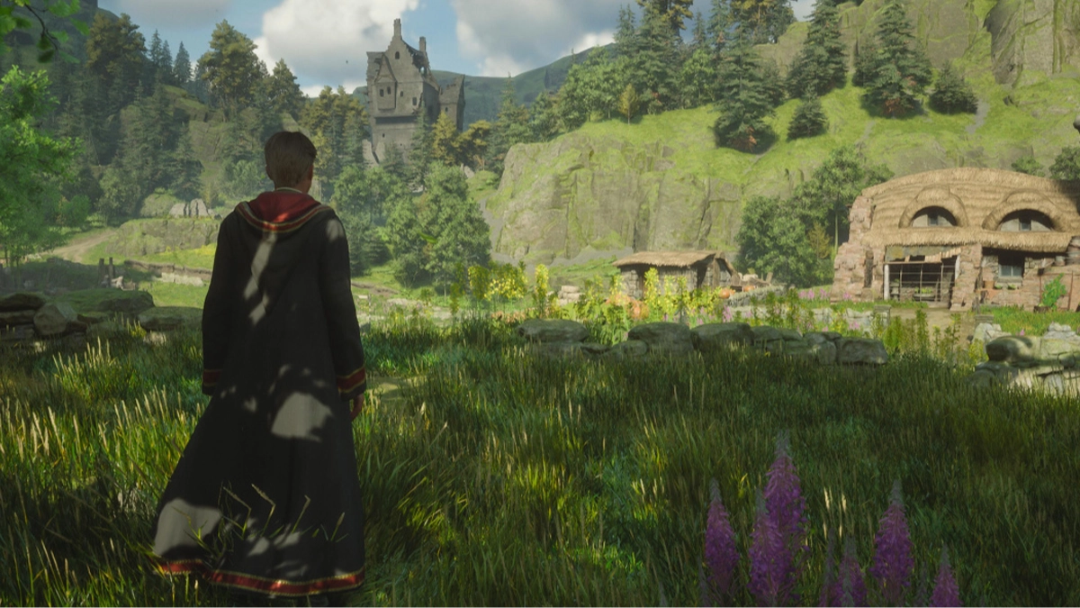 Hogwarts Legacy Ministry of Magic DLC Rallied Behind By Gamers