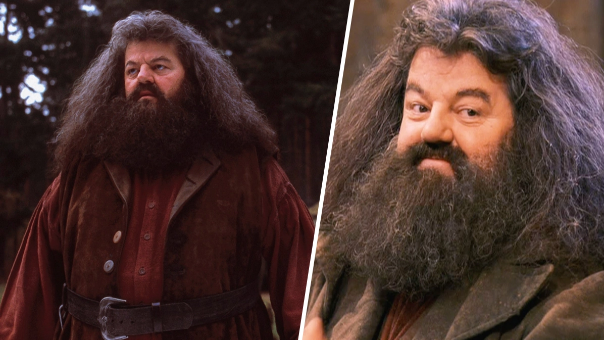 Harry Potter fans united over 'perfect' Hagrid casting for TV series