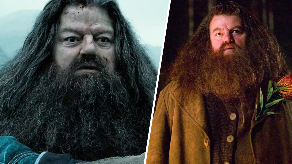Harry Potter fans torn over Hagrid's fate after Deathly Hallows