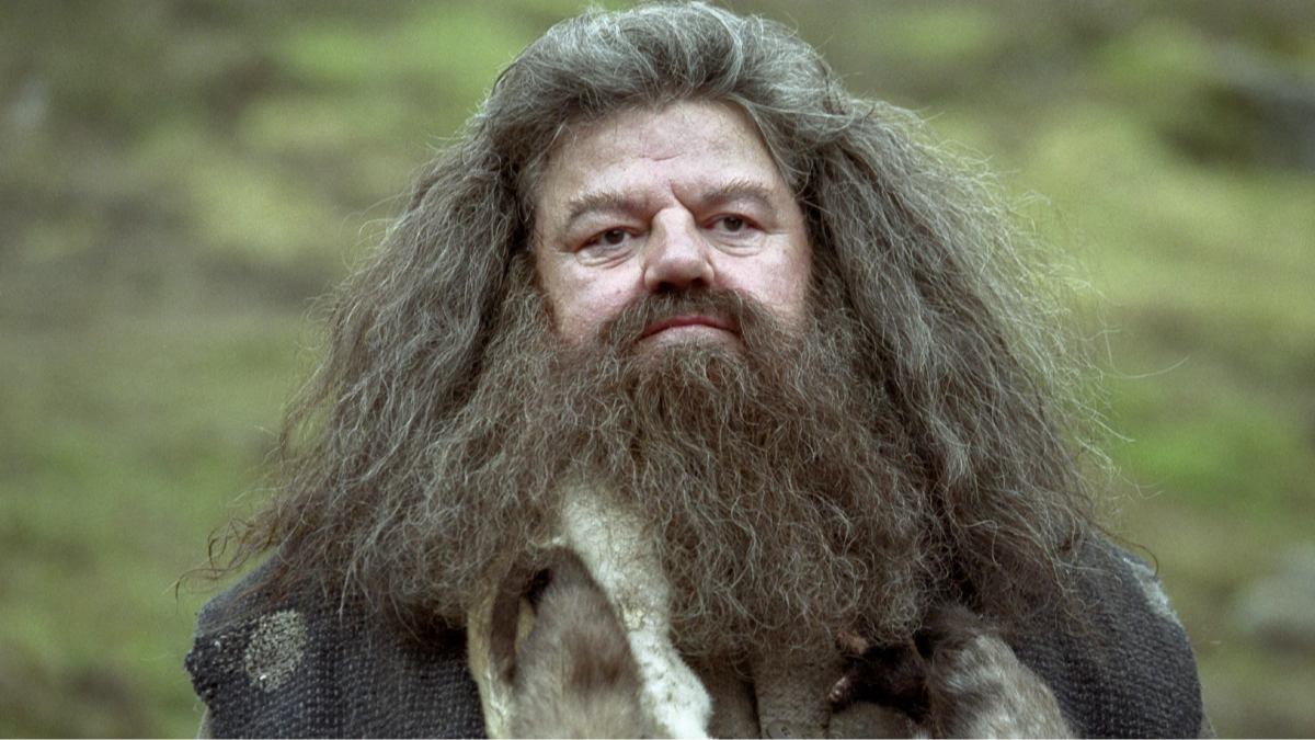 Harry Potter HBO leaked Hagrid casting praised by fans