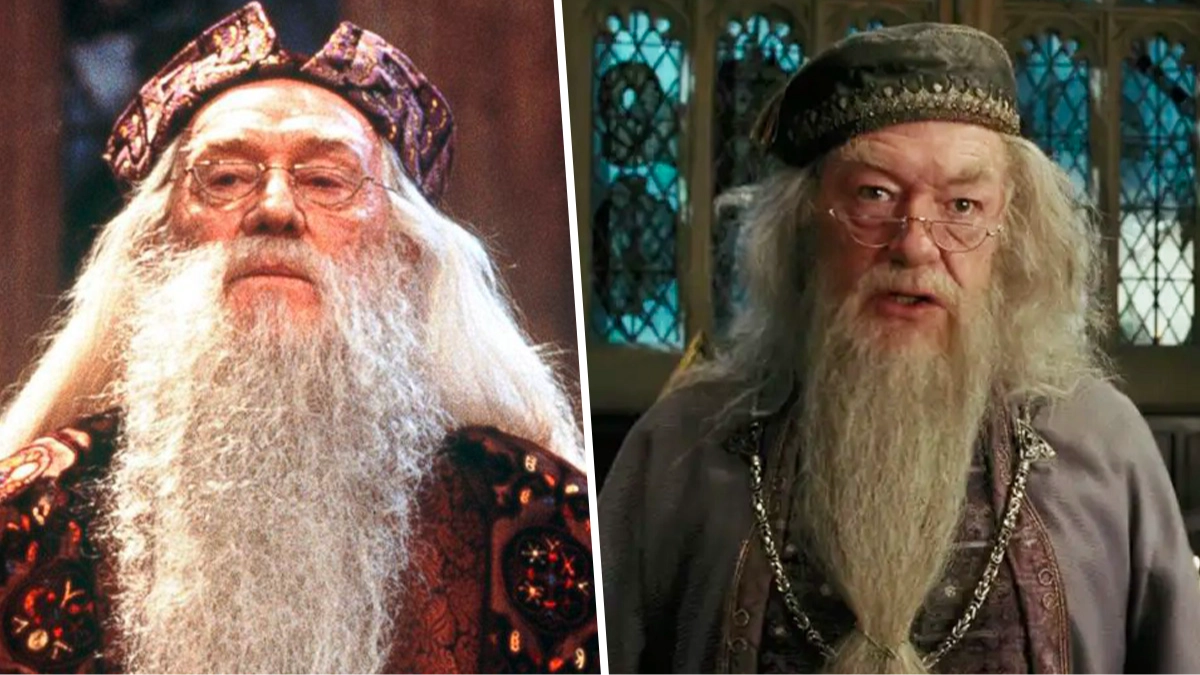 Harry Potter fans divided over TV series' Dumbledore recasting 
