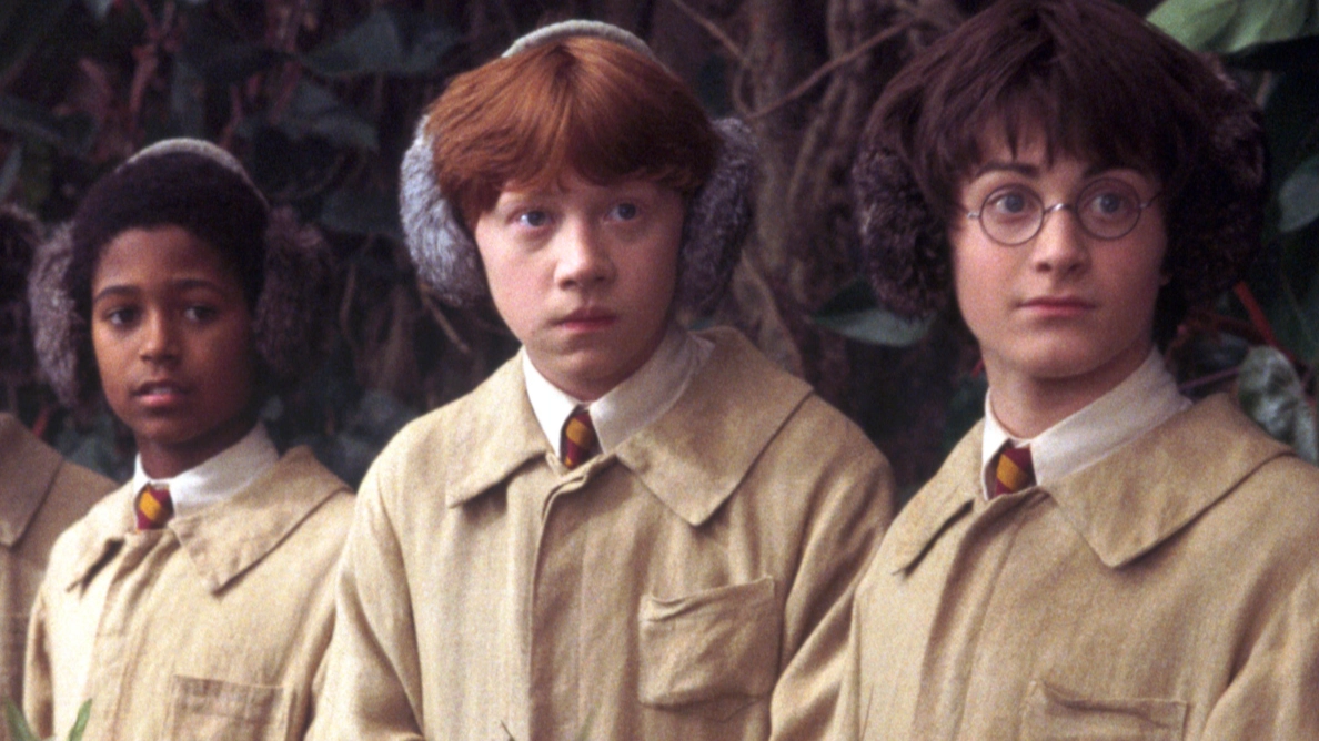 Harry Potter TV show rumoured to feature one returning film star